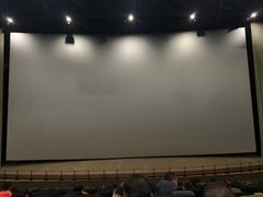 -天幕新彩云国际影城(激光巨幕店)