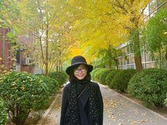 -三里屯东五街银杏大道