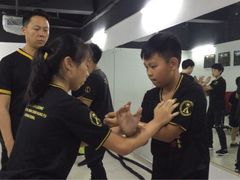 -温鉴良实用咏春拳