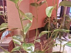 -山河屯铁锅炖鲜鹅·东北菜(开发区一店)