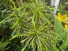 -北京植物园-展览温室