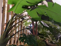 景观位-KingThaia金泰兰(滨江天街店)