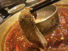 -小龙坎火锅(沙井店)