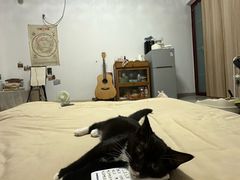 -四月宠物医院·猫专科·心脏专科·内科(转塘店)