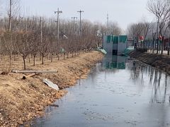 -东郊湿地公园