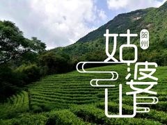 -姑婆山旅游区
