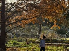 -国家植物园南园