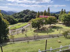 -神户市立六甲山牧场