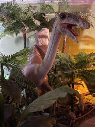 -恐龙探索乐园(磁器口店)