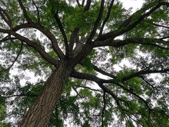 -天津盘山风景名胜区