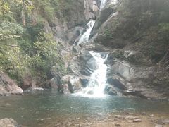 -九龙江国家森林公园