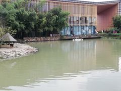 -田园东方蜜桃村的田野营地