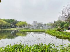 -映月湖公园