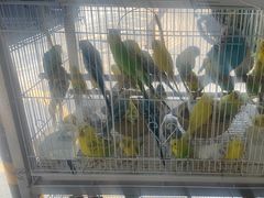 -宠爱我(南山店)