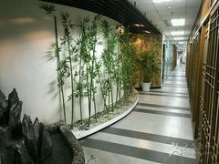 -樱花国际日语(徐家汇中心)