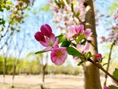 -元大都城垣遗址公园