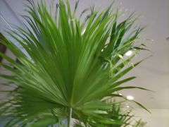 -HFFOUSA TACO弗萨塔可墨西哥餐厅(颐堤港店)