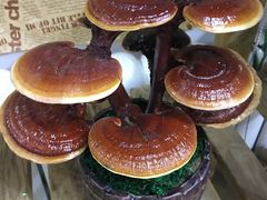 -盒马鲜生(红莲店)