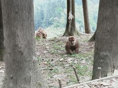 -太阳湾风景区