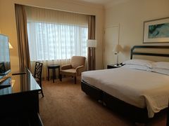 -新加坡乌节希尔顿酒店 (SG Clean)