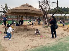 -长洲岛都市农业公园