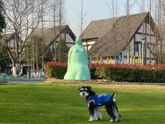 -太阳岛度假酒店