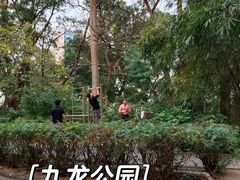 -九龙公园