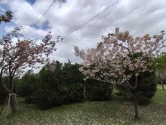-石家庄市植物园