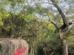 -青芝山风景名胜区