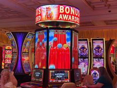 -拉斯维加斯永利酒店