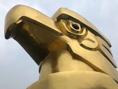 -大金鹰园