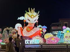 -花博汇(知音花月夜)