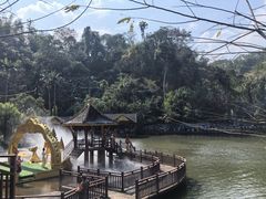-西双版纳原始森林公园