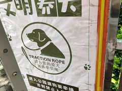 -风云岭森林公园