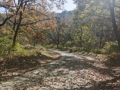 -金龙寺国家森林公园