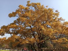-云南师范大学(一二一西南联大校区)