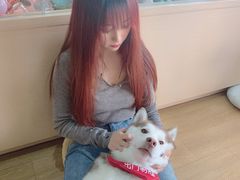 -Husky Go! 哈士奇体验馆·宠物咖啡厅狗咖