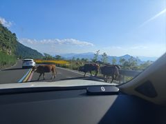 -武陵山森林公园