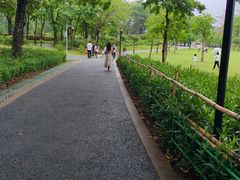 -东莞植物园