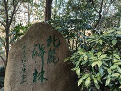 -狼山风景名胜区