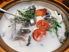-全乐鱼馆·淳牌有机鱼直营店
