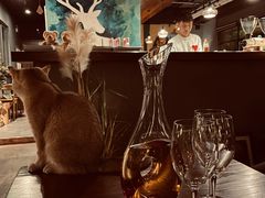 -咖法森林·咖啡  酒吧(天河店)