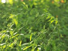 -宁波儿童公园(鄞州区)