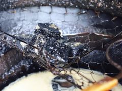 -五娭毑臭豆腐(黄兴南路店)