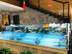 -饭怕鱼(阳光100店)