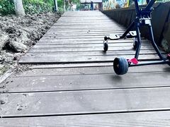 -菊园百果园