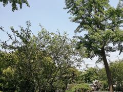-荆川公园