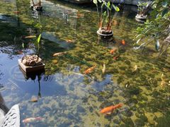 -鹅公村·国家非遗传承(荔湾店)