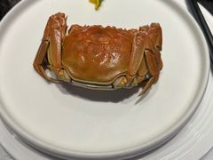 -大董(深圳湾万象城店)