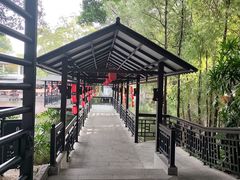 -侨美·唐荔园·40年地道粤菜